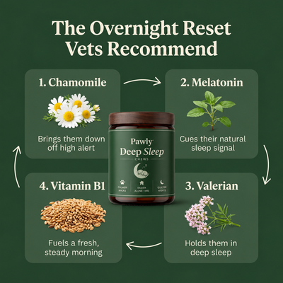 sleep chews
