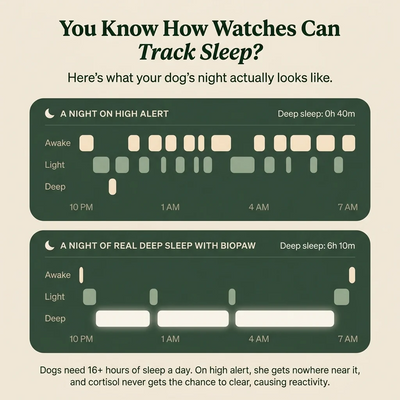 sleep chews