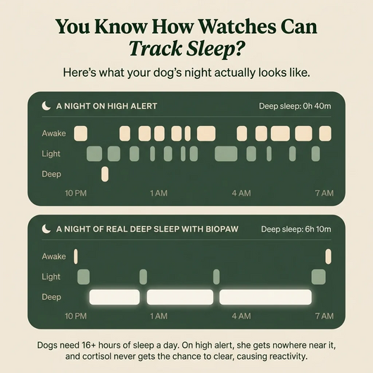 sleep chews