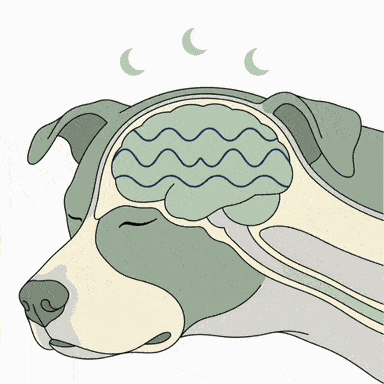 Deeper Sleep